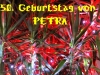 50-jahre-petra_250