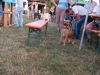 sam_1181